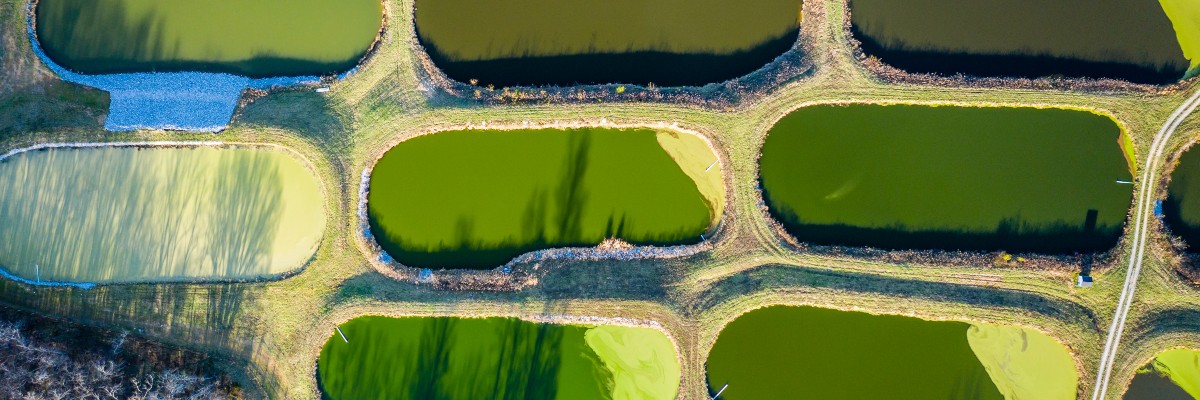 Wastewater Lagoon