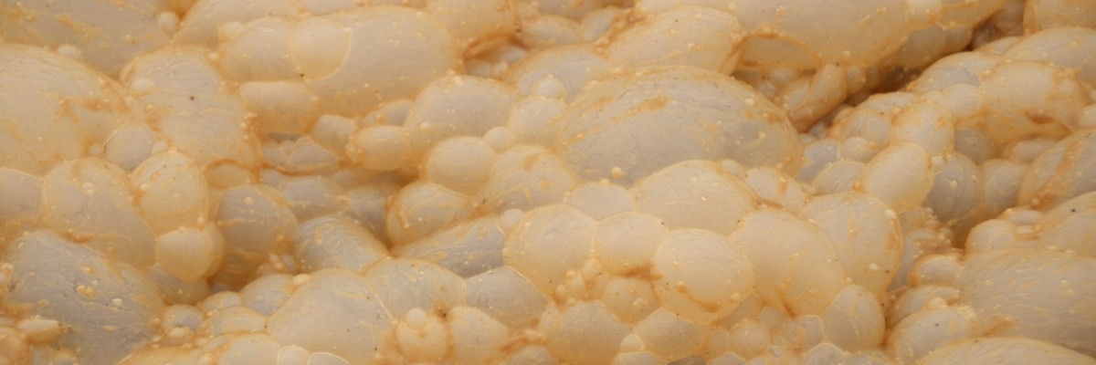 Wastewater Foam